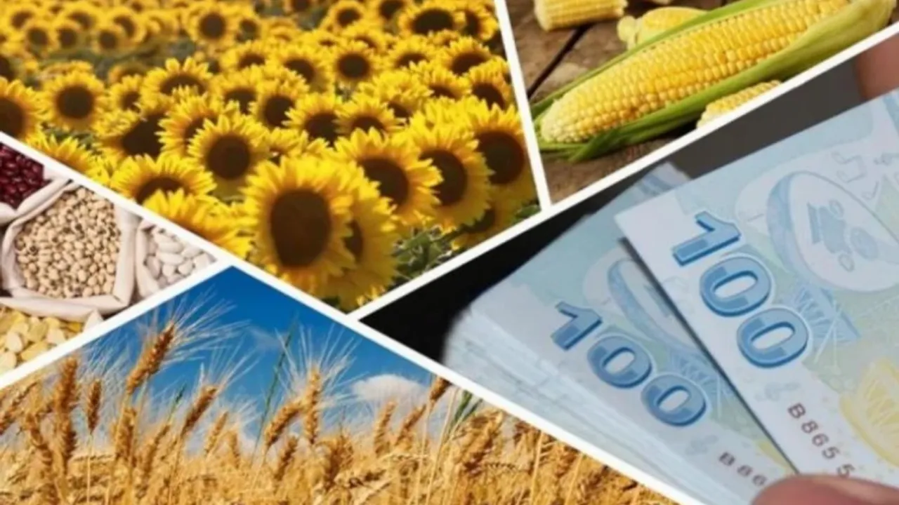 1 milyar 81 milyon TL tarımsal destek ödemeleri bugün çiftçilerin hesaplarına yatırılıyor!...