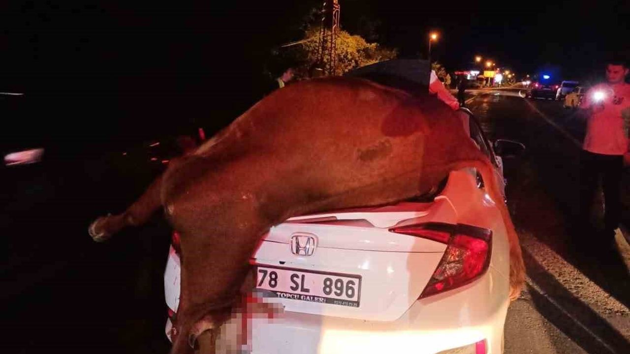 Karabük’te Yola Çıkan İnek Otomobilin Çarpmasıyla Telef Oldu, Sürücü Son Anda Kurtuldu