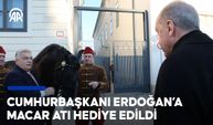 Cumhurbaşkanı Erdoğan’ın Macaristan ziyaretinde Başbakan Viktor Orban Macar atı hediye etti