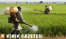 Tarımda Kullanılan Zehirler Hakkında Gerçekler!...