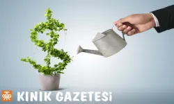 Yatırım Getirisi Formülü