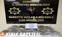 Osmaniye'de 11 kilo 700 gram sentetik uyuşturucu ele geçirildi