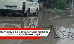 Osmaniye'de Yol Sorununa Yaratıcı Çözüm: İncir Dikerek Tepki!