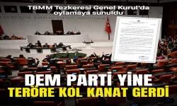 Terör Saldırılarına Yönelik Başkanlık Tezkeresi Meclis'te Kabul Edildi, DEM Parti 'Hayır' Oyu Kullandı