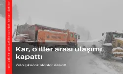 Kar, o iller arası ulaşımı kapattı