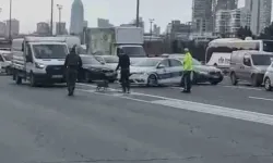 Otoyola Giren Tilki Trafiği Birbirine Kattı