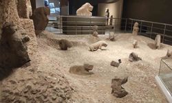 Şanlıurfa Arkeoloji Müzesi neolitik döneme ait 81 eser ile kapılarını açtı