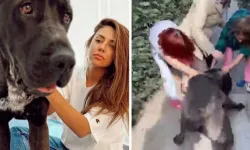 Banu Parlak’ın köpeği öldürmüşü, komik para cezası olay oldu
