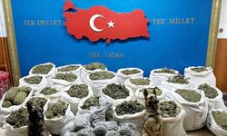 Gaziantep'te Şubat Ayında Yapılan Operasyonlarda Yarım Ton Uyuşturucu Ele Geçirildi