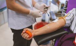 Kan Vermenin Faydaları Nelerdir?