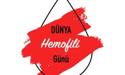 Hemofili Farkındalık Günü: Kanı Durmaz Bir Güç, Bilinç Durmaz Bir Sorumluluk!