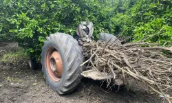 Sumbas'da Tarlasını Sürerken Traktörden Düşen Çiftçi Hayatını Kaybetti
