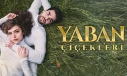 Yabani Çiçekleri için karar verildi, dizi FİNAL yapacak, işte Yaban Çiçekleri final tarihi