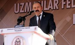 Ali Tilkici kimdir, kaç yaşında, aslen nereli, ne iş yapıyor?