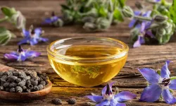 Sağlıklı Cilt İçin Hodan Yağı: Anti-inflamatuar Özellikleriyle Tanışın!