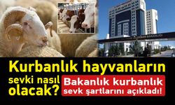 Kurbanlık hayvanların sevki nasıl olacak? Bakanlık kurbanlık sevk şartlarını açıkladı!