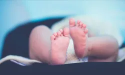 Mira Milena ne demek, anlamı nedir?
