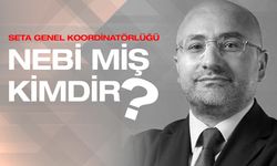 Nebi Miş kimdir, aslen nereli, mesleği ne, hayatı, biyografisi