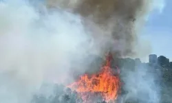 Balıkesir, Çanakkale, Denizli ve Diyarbakır'da orman yangını söndürüldü mü 27 Haziran son durum ne?