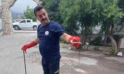 Hatay'da Kız Öğrenci Yurduna Yılan Girdi: Belen'de Panik Anları