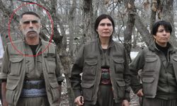 Ali Dinçer Kimdir, Kaç Yaşında, Aslen Nereli? PKK/YPG'nin Sözde Cezire Sorumlusu ve MİT Operasyonu