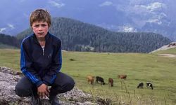 Eren Bülbül olayı nasıl oldu, nasıl vuruldu, neden önemli ve kimdir?