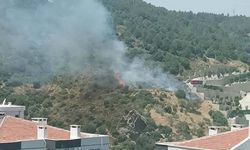 Son Dakika: İzmir'de Çıkan Orman Yangınına Yoğun Müdahale