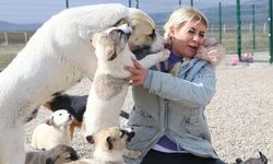 Köpekvelisi Buket Özgünlü Neden Tutuklandı, Kimdir, Kaç Yaşında, Ne İş Yapıyor, Aslen Nereli?