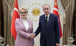 Meral Akşener'den Erdoğan'a Özel İstek: Oğlu İçin Paris Büyükelçiliği İddiası