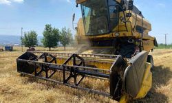 Buğday ve Arpa Fiyatları Çiftçileri Vurdu: Osmaniye'de Tarlalar Yabancılara Satılıyor
