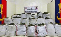 Uyuşturucu tacirlerine dev operasyon! 1 milyon 781 bin kök kenevir ve 511 kilo esrar yakalandı