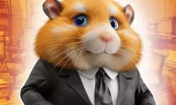 HAMSTER KOMBAT SON DAKİKA: 26 Temmuz Cuma 2024 Hamster Kombat günlük şifre açıklandı! Telegram Hamster Kombat günlük kombo kartları 26 Temmuz 2024