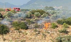 Osmaniye Düziçi'nde Anız Yangını Felaketi: Zeytin Bahçeleri Küle Oldu