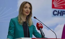 CHP Genel Başkan Yardımcısı ve Kadın Kolları Genel Başkanı Aylin Nazlıaka Kimdir, Aslen Nereli, Kaç Yaşında?