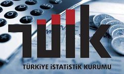 2024 Ağustos Ayı Enflasyon Oranı Ne Zaman Açıklanacak? TÜİK Enflasyon Verileri Saat Kaçta Yayınlanacak, Beklenti Nedir?