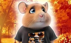 HAMSTER KOMBAT SON DAKİKA 16 Ağustos 2024 Hamster Kombat günlük şifre açıklandı! Telegram Hamster Kombat günlük kombo kartları 16 Ağustos 2024