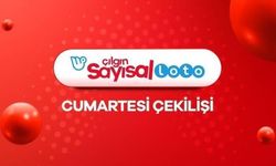 Çılgın Sayısal Loto Çekiliş Sonuçları Son Dakika: 17 Ağustos 2024 Çılgın Sayısal Loto'da kazanan numaralar ile Çılgın Sayısal Loto sonuçları sorgulama ekranı!