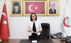 Hülya Kaya kimdir? Yalova Valisi olarak atanan Hülya Kaya aslen nereli ve kaç yaşında?