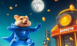 HAMSTER KOMBAT SON DAKİKA 5 Eylül 2024 Hamster Kombat günlük şifre açıklandı! Telegram Hamster Kombat günlük kombo kartları 5 Eylül 2024