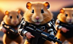 HAMSTER KOMBAT SON DAKİKA 10 Eylül 2024 Hamster Kombat günlük şifre açıklandı! Telegram Hamster Kombat günlük kombo kartları 10 Eylül 2024