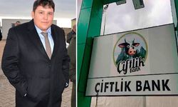 Mehmet Aydın İçin Yargıdan Rekor Ceza: Çiftlik Bank Kurucusu Tosuncuk'a 88 Bin 302 Yıl Hapis İstendi