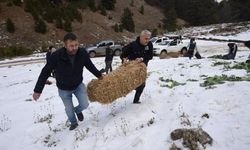 Osmaniye'de Mutlu Kuyruklar Derneği'nin Can Dostlara Desteği