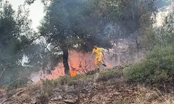 Hatay'da Orman Yangını: Hızlı Müdahale ile Kontrol Altına Alındı