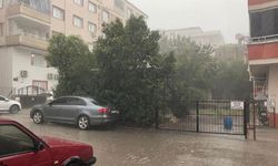 Yağmurla Birlikte Gelen Fırtına Osmaniye’de Hangi Bölgeleri Vurdu? Ağaçlar Neden Kökünden Söküldü?