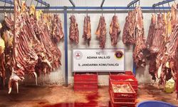 Adana'da Piyasaya Sürülmek Üzere 3 Ton Bozuk At  Eti Ele Geçildi