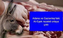 Bu defa da at ve eşek eti tespit edildi! Hileli ürün listesi yenilendi, Adana ve Gaziantep’teki rezalet ortaya çıktı