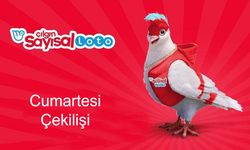 SON DAKİKA ÇILGIN SAYISAL LOTO SONUÇLARI 24 MAYIS 2025:  Çılgın Sayısal Loto çekilişi kazanan numaralar hangileri?