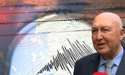 Prof. Dr. AHMET ERCAN KİMDİR, KAÇ YAŞINDA? Ahmet Ercan neden hastaneye kaldırıldı, sağlık durumu