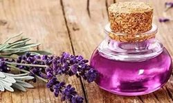Lavanta Yağı Gerçekten Mucize Mi? Bilimsel Olarak Kanıtlanmış Faydaları Nelerdir?