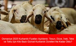 Osmaniye 2025 Kurbanlık Fiyatları Açıklandı: Tosun, Düve, İnek, Teke ve Toklu İçin Kilo Bazlı Güncel Kurbanlık Ücretleri Ne Kadar Oldu?